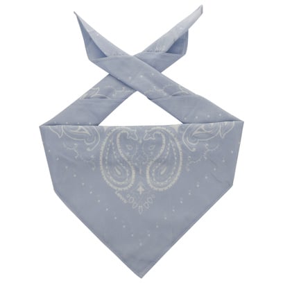 Paisley Bandana by Levi’s®