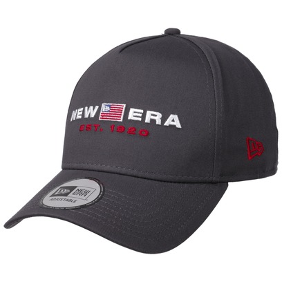 E-Frame Team Flag Pet by New Era