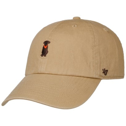 Lab Dog Base Runner Pet by 47 Brand