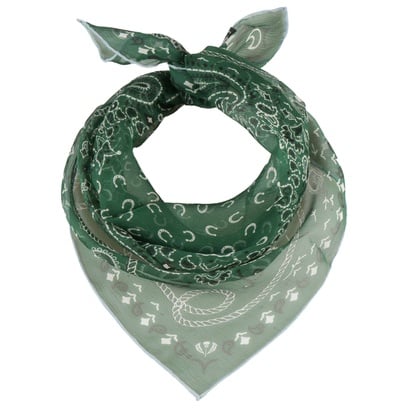 Paisley Zijden Doek by Fraas