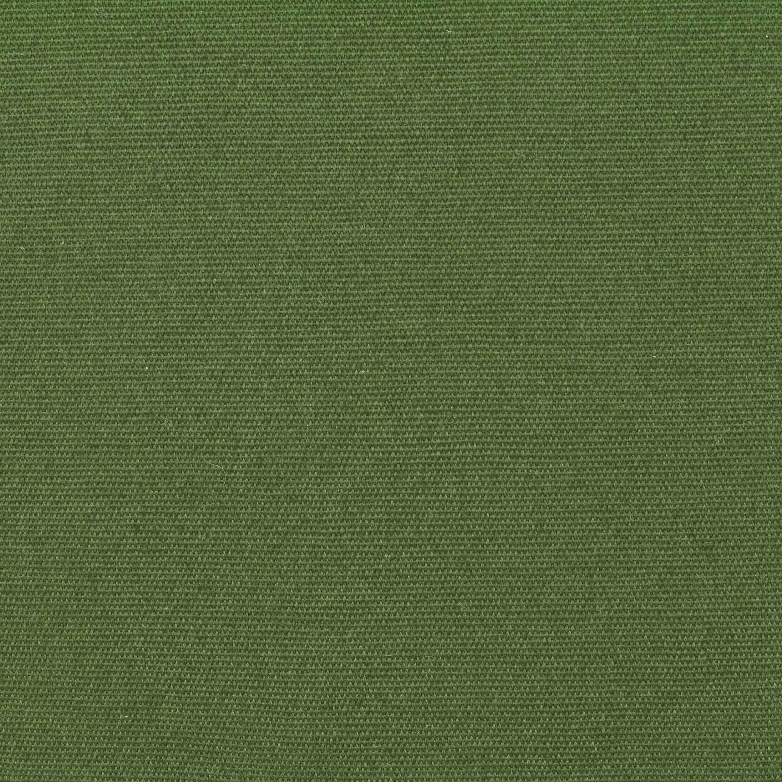 Brixton pet groen