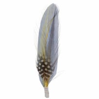 Hoeden bedrukken | Al vanaf 50 stuks met logo | Pasco Gifts