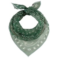 Paisley Zijden Doek by Fraas - &euro; 39,95