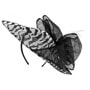 Banhu Fascinator by McBURN zwart