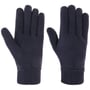 Thinsulate 3M Handschoenen by Lipodo donkerblauw