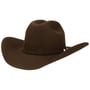 The Valley 4X Buffalo Haarvilthoed by Stetson bruin