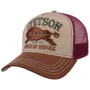 The Plains Trucker Pet by Stetson bordeaux