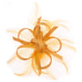 Clip Fascinator by McBURN mosterd