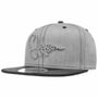 Lettering Flat Brim Pet by Stetson grijs