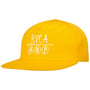 Graphic ANP Snapback Pet by RVCA geel