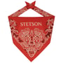 Paisley Bandana by Stetson rood