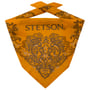 Paisley Bandana by Stetson geel
