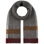 Tricolour Heren Sjaal by Lipodo antraciet
