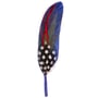 Hoedveer by Stetson blauw-rood
