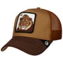 The King Lion Pet by Goorin Bros. bruin