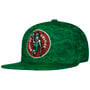 Team Digi Celtics Pet by Mitchell & Ness groen