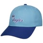 Lakers 2.0 Pro HWC Pet by Mitchell & Ness blauw