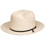 Kendower Western Toyo Strohoed by Stetson wit