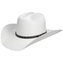 Vanlesco Western Toyo Strohoed by Stetson wit