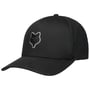 Uni Logo Head Flexfit Pet by FOX zwart