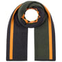 Merino Stripes Wollen Sjaal by Stetson antraciet-groen