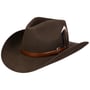 Limington Western Wollen Hoed by Stetson donkerbruin