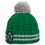 Harry Potter Slytherin Kindermuts by New Era groen