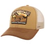American Heritage Horse Pet by Stetson bruin