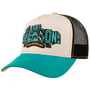 Live & Loud Trucker Pet by Stetson petrol blauw