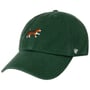 Clean Up Dog Base Runner Icon Pet by 47 Brand groen