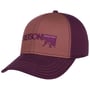Mountain Logo Pet by Stetson paars