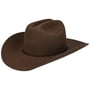 Diamondville Cattleman Western Hoed by Stetson bruin