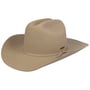 Diamondville Cattleman Western Hoed by Stetson beige