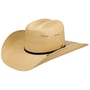 Taconic Western Hoed by Bailey 1922 naturel