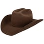 Lightning 4X Wool Western Hoed by Bailey 1922 bruin