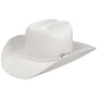 Pageant 2X White Rodeo Western Hoed by Bailey 1922 wit