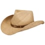Chestercole Western Raffia Hoed by Stetson naturel