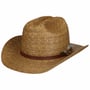 Palm Braid Western Hoed by Stetson lichtbruin