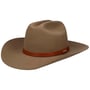 Palumo Western Hoed met Kasjmier by Stetson bruin