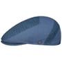 Armadillo Dots Pet by Lierys blauw