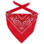 Bandana Doek by Lipodo rood