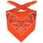 Bandana Doek by Lipodo oranje