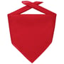 Bandana Goal rood