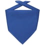 Bandana Goal koningsblauw